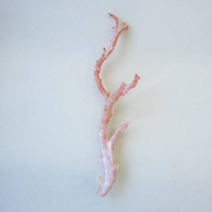 楽天市場】ピンク （ガーネ） 珊瑚 原木 1セット （375g入り