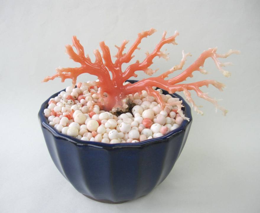 ピンク珊瑚 桃珊瑚 原木 楽天市場】ピンク （ガーネ） 珊瑚 原木 1セット （375g入り