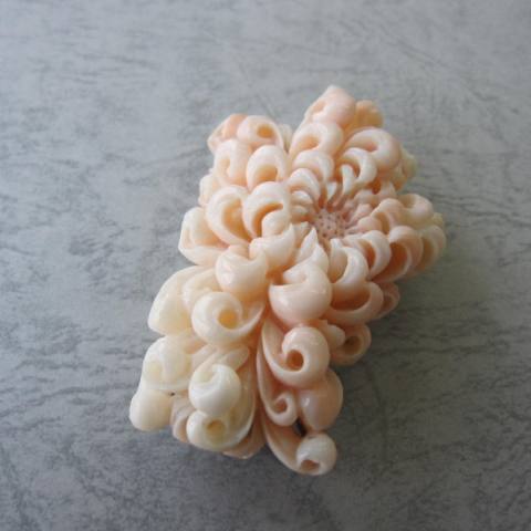 ミッド珊瑚豪華な菊の花の彫りの帯留め兼ブローチ 『宝石さんご』 珊瑚