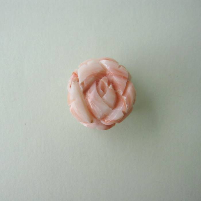 珊瑚 薔薇 五島珊瑚