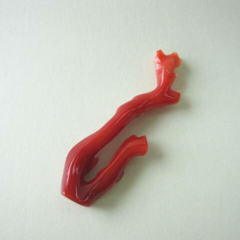 楽天市場】日本・高知産赤珊瑚 枝パーツ 手作り 天然 『宝石サンゴ