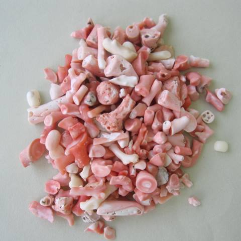 楽天市場】ミッド（白）珊瑚 原木 1セット.（375g入り） 原石 『宝石