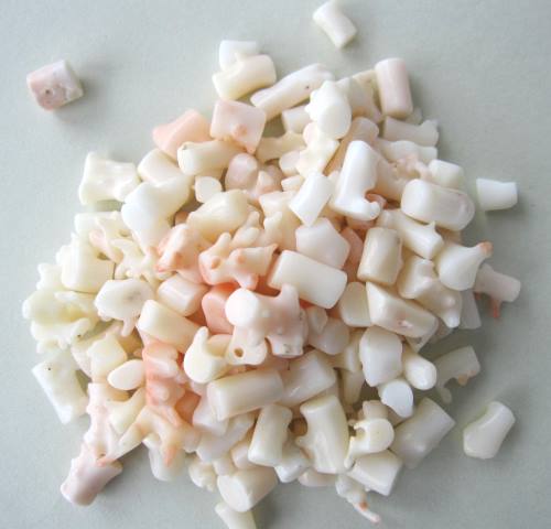 楽天市場】ミッド（白）珊瑚 原木 1セット.（375g入り） 原石