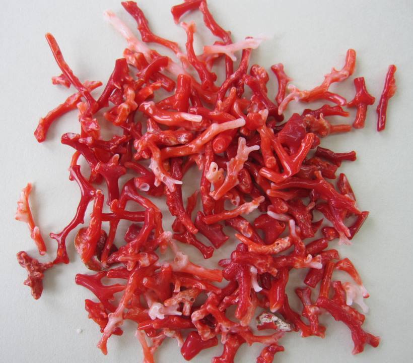 楽天市場】ミッド（白）珊瑚 原木 1セット.（375g入り） 原石