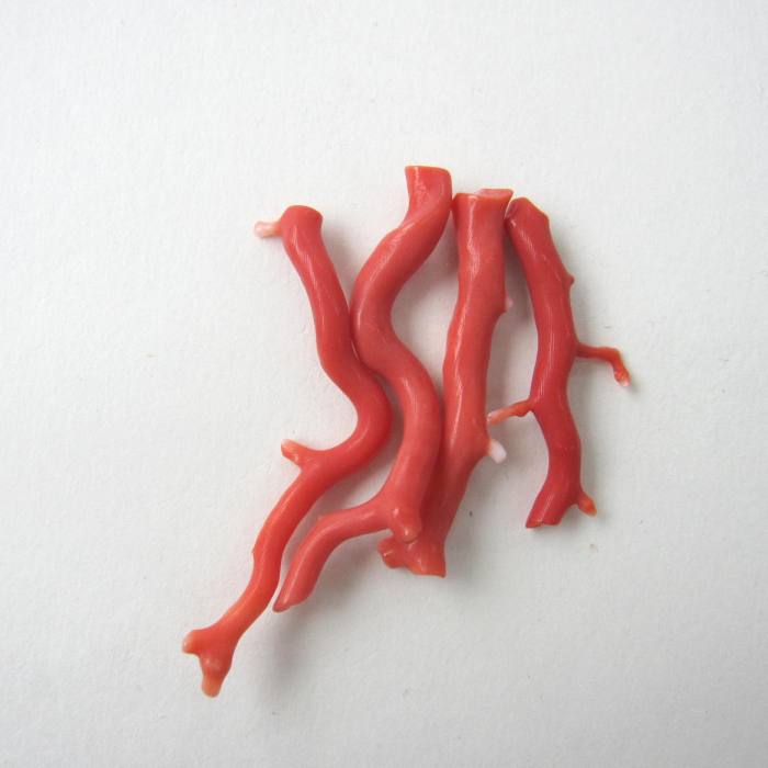 楽天市場】日本・高知産赤珊瑚 枝パーツ 手作り 天然 『宝石