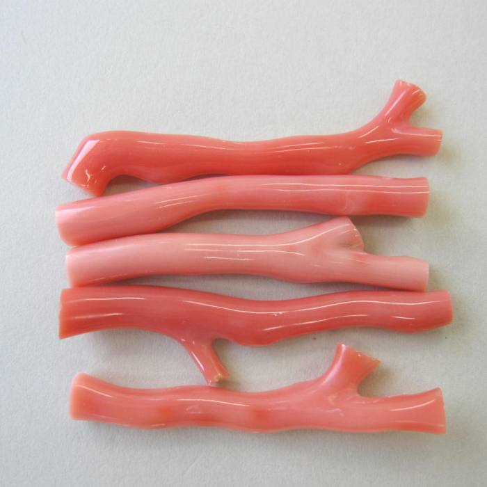 楽天市場】日本・高知産赤珊瑚 枝パーツ （1個） 手作り 『宝石サンゴ