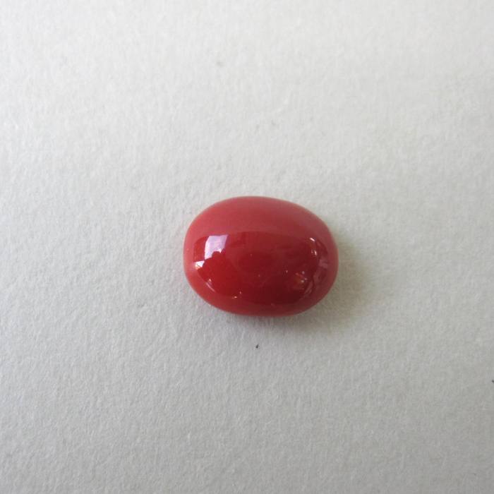 日本  高知産血赤赤珊瑚  オーバル  ルース  （1個） 10.3×8.1粍  部分品   土佐沖  珠玉サンゴ  赤珊瑚婚 還暦 生まれ落ちる日 御祝 厄除 御守 3月の誕生石 差し上げ物 差し上げ物 一緒になる35周年 赤珊瑚細工人