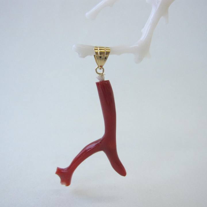 楽天市場】日本・高知産血赤（ちあか） 枝珊瑚 ペンダント