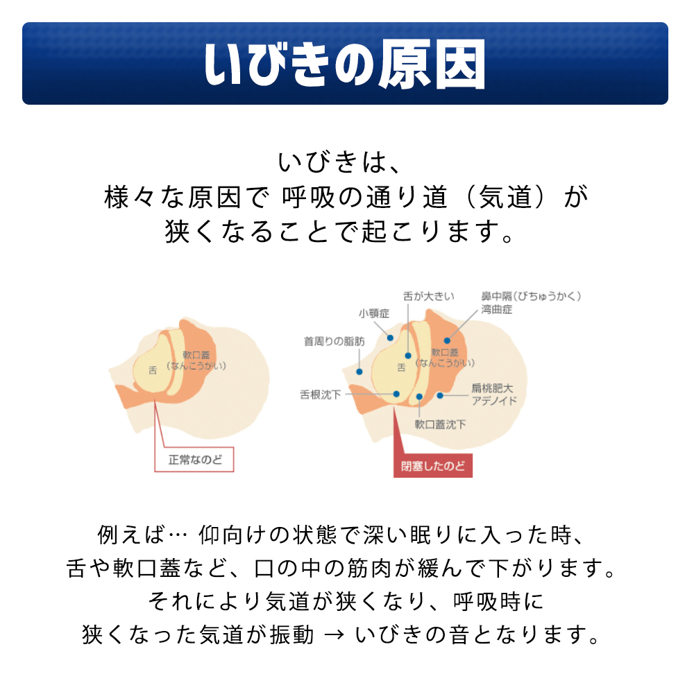 楽天市場 いびき防止 グッズ いびき対策グッズ スノアサークル Snore Circle V 3 いびき 防止 原因 イヤホンタイプ 耳装着型 小型 軽量 持ち運び 骨伝導 音声認識 睡眠 改善 機械 アプリ 男性 女性 雑誌掲載 プレゼント 送料無料 ギフト梱包可 あす楽 三豊ストア