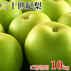 二十世紀梨（20世紀梨）10kg詰（28玉前後入/2L〜3Lサイズ） 鳥取県産 赤秀（ご贈答用） 送料無料（北海道・沖縄を除く）