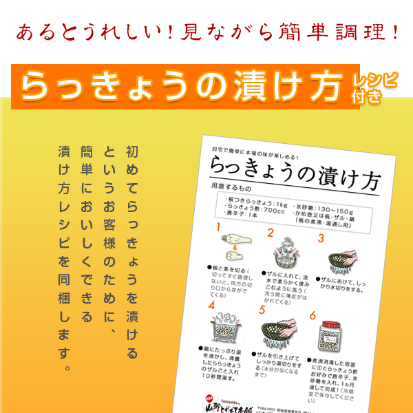 鳥取県産 特別栽培 田中さんの北条砂丘らっきょう3kg 根付き土付き らくだらっきょう 国産 送料無料 北海道 沖縄を除く septicin Com