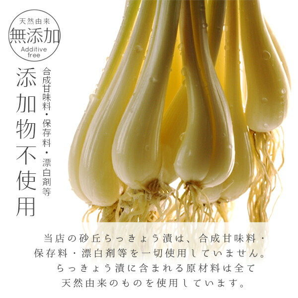 楽天市場 砂丘らっきょう漬け 鳥取県福部町産 選べる3パックセット 無添加 国産 送料無料 北海道 沖縄を除く パーソナルギフト 風味絶佳 山陰