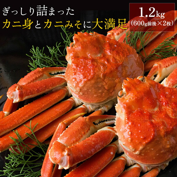 ボイルズワイガニ姿1.2kg（600g前後×2枚セット） かに カニ 蟹 送料無料（北海道・沖縄を除く）