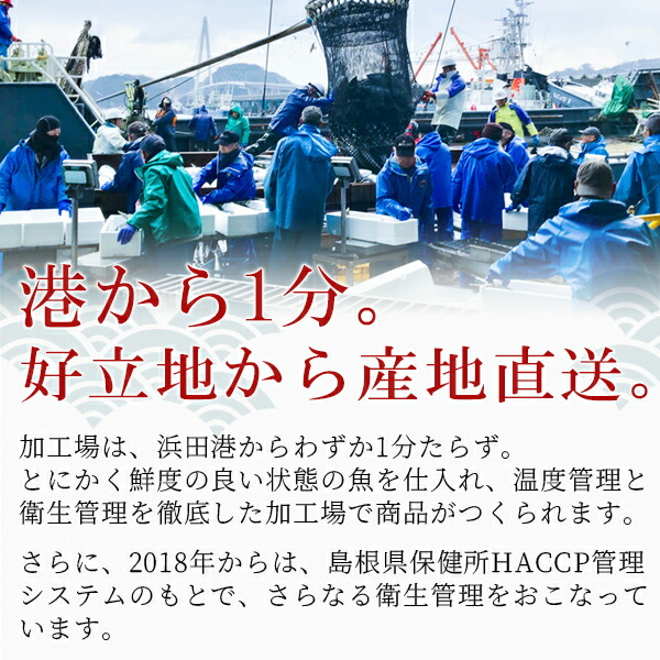 SALENEW大人気! 真ふぐ鍋セット 醤油スープ付き 2〜3人前 島根県浜田産 マフグ ふぐちり てっちり 送料無料 北海道 沖縄を除く  qdtek.vn