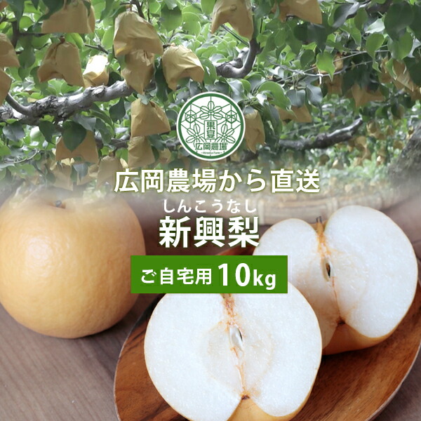 梨　新甘泉　農家直送　10㎏ 広岡農場の新甘泉（しんかんせん）梨 10kg詰（14～36玉入） 鳥取