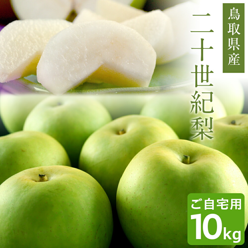 楽天市場】二十世紀梨（20世紀梨）5kg詰（14玉前後入） 鳥取県産