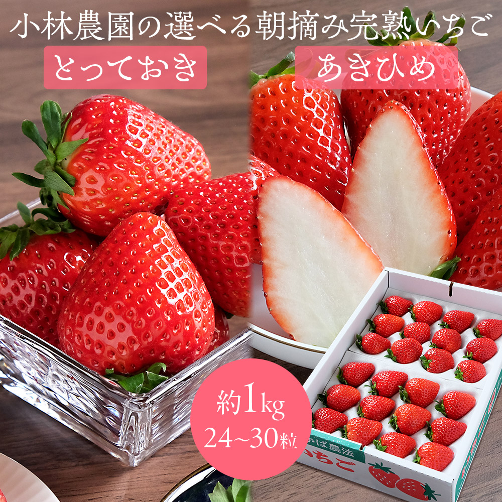 いちご 章姫30株雪桜10株￼えびすさん専￼用 楽天市場】予約販売 いちご あきひめ 12〜18粒 順次発送予定 滋賀県産
