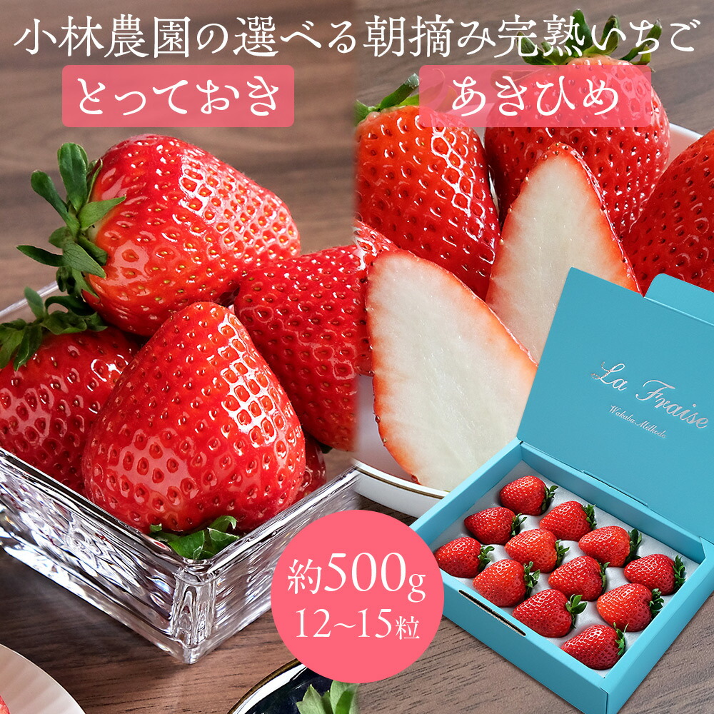 楽天市場】予約販売 いちご あきひめ 12〜18粒 順次発送予定 滋賀県産