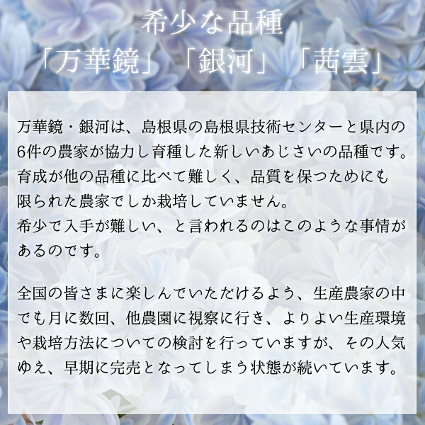 楽天市場 母の日 プレゼント ギフト 花 21 島根県産 あじさい鉢植え 選べる3品種 万華鏡 銀河 茜雲 送料無料 北海道 沖縄を除く パーソナルギフト 風味絶佳 山陰