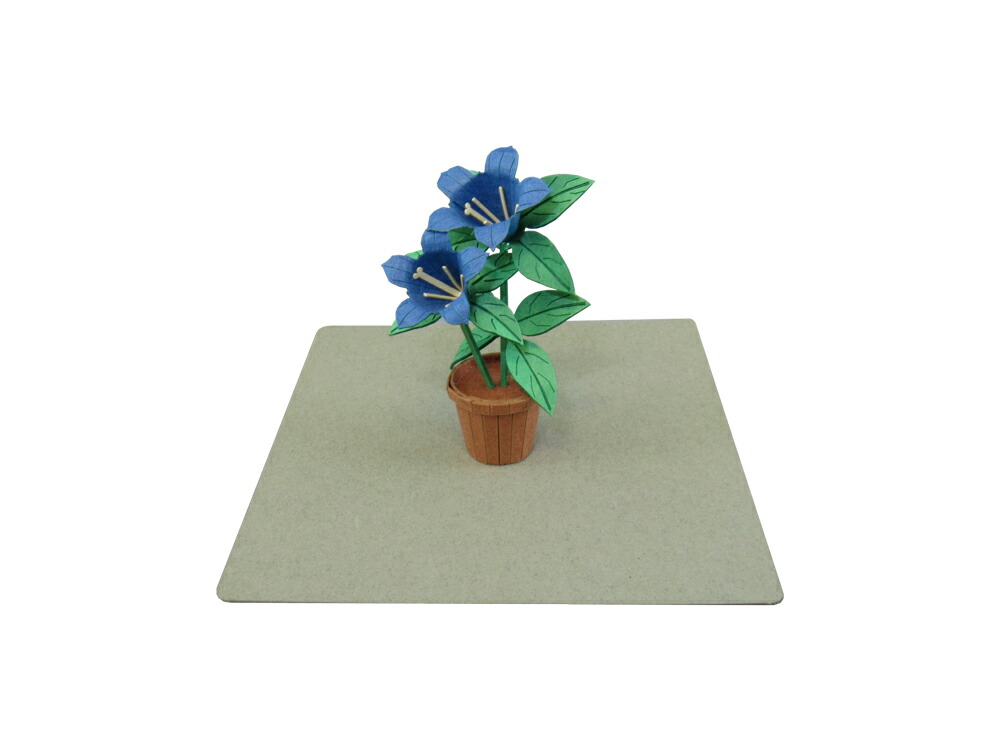 コスモス様ミニチュア 68-img01.jpg