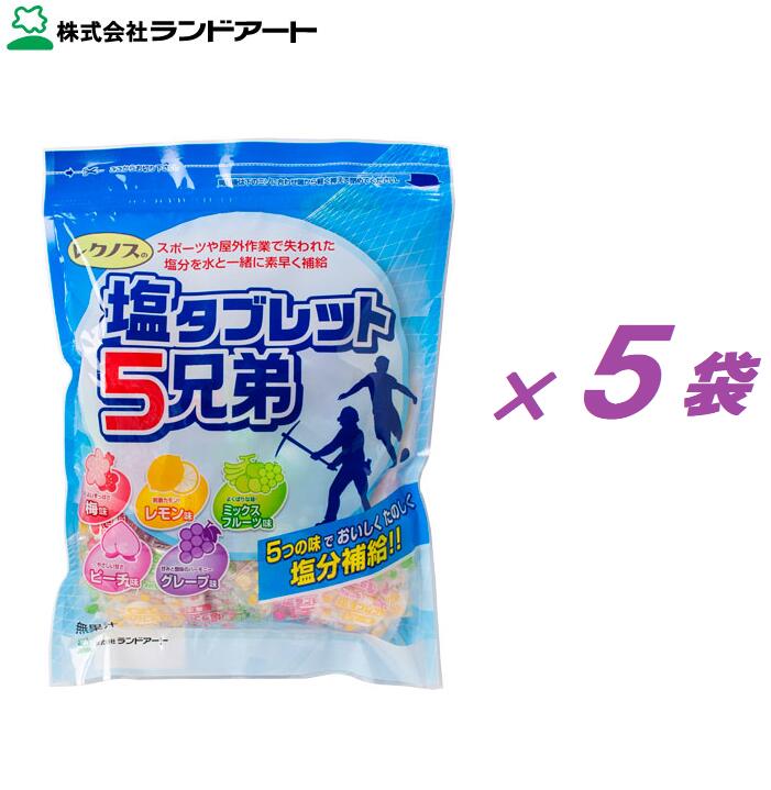 【5袋】塩タブレット 5兄弟 塩タブ【 1袋 /500g ( 個装 )×5個 】5種類の味! ・ウメ・グレープ・ミックスフルーツ・ピーチ・レモン・塩あめ・ブドウ糖・塩分補給・猛暑対策・熱中症予防・レクノス・ランドアート|サンケン koko store