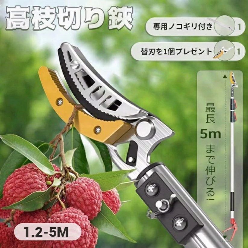 4m 豪然たる 3m 高枝切り鋏 ノコギリ 高枝 【替刃付き添い人】高枝切りバサミ 切り下げる鋏 剪刀 高枝切鋏 お上さん 高枝切り 伸縮式 いけ図図しい たかえだきり 5m えだきりばさみ 高枝バサミ たかえだきりばさみ2m 枝切り鋏 高さ太枝切鋏 軽さ 木を切る いけ図図しい枝 枝切ばさみ