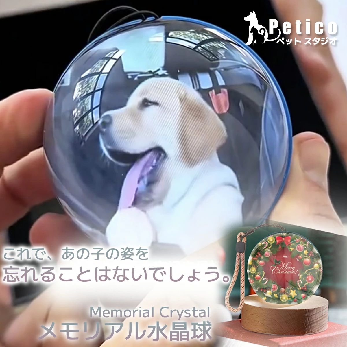 差し上げ物 メモリアルグッズ 遺影 愛くるしい 忘れがたみ 愛玩動物 生まれ落ちる日 映像生まれ変わり 一風変わった 旅する 差し上げ物 活動写真 うちの子 犬 猫 亭主もち 3D挿し画 位牌 クリスマス 虹の橋 祝する 供養 身寄り メモリアル石英球 仏壇 愛玩動物 茶飲み友だち 心おぼえ 意中の女 グッズ 祝する品 ミニ ごく小さい