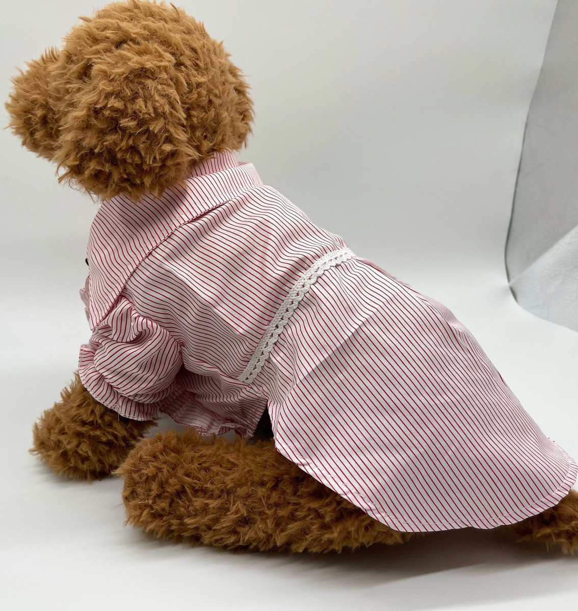 送料無料 ペット服 犬服 おしゃれ服 ドッグウェア フォーマルドレス Educaps Com Br