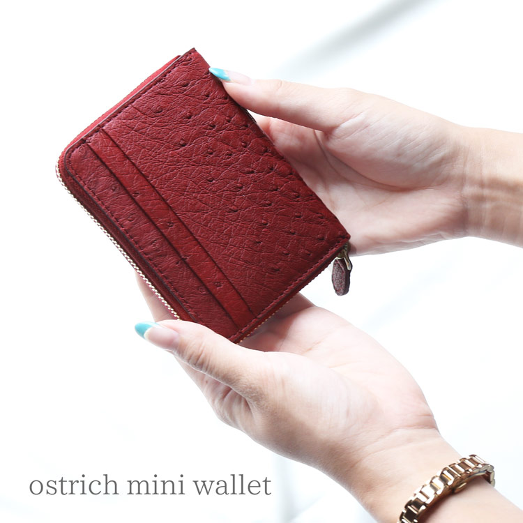 オーストリッチ コンパクト 財布 レディース 女性 ミニ財布 【ネコポスで送料無料】 ミニ コンパクト財布 小さい 小さめ 小さい財布 カード入れ ミニウォレット 本革 革 コインケース 母 親 使いやすい ギフト プレゼント 4FA (06001773r)