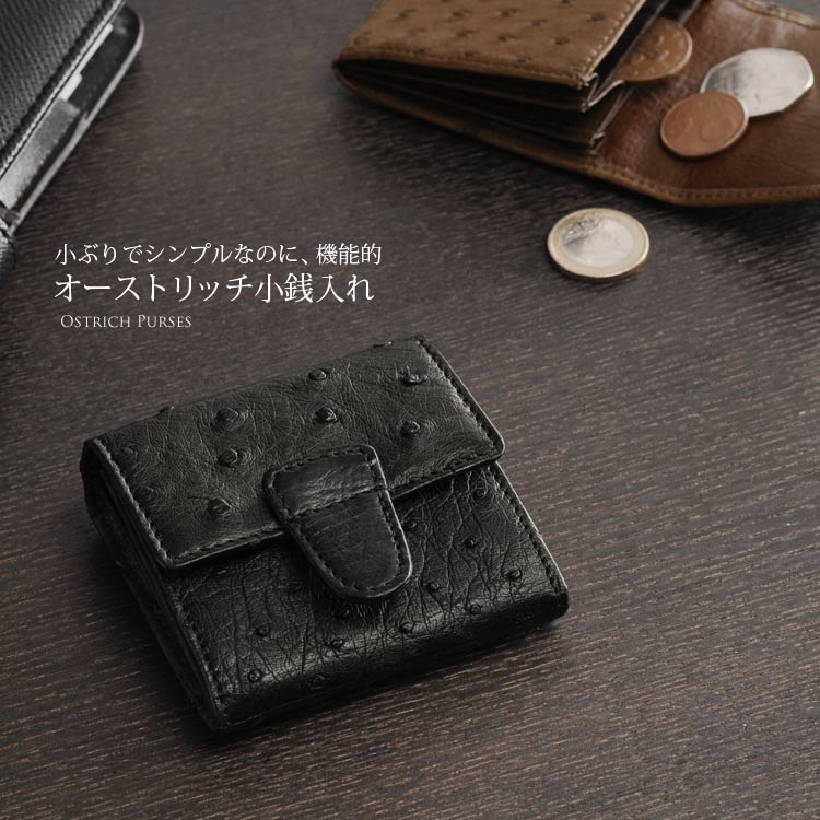 楽天市場】【4h限定20%off!】オーストリッチ 小銭入れ スクエア
