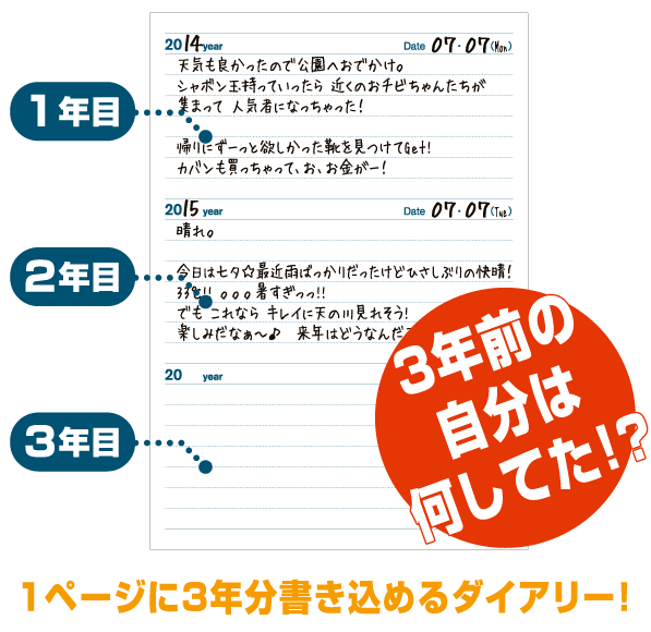 楽天市場 メール便ご選択で送料無料 日常使いの３年日記 Past 3 Years ３年ダイアリー 日付書き込みタイプ 3年連用 B6サイズ アーティミス Artemis Dp3 140 Nino Y Nina Kids