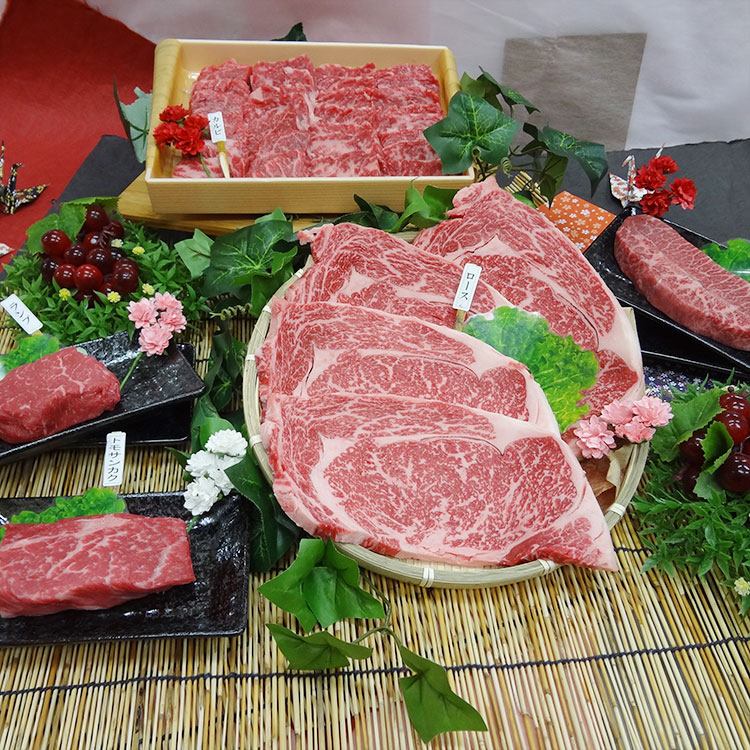 【送料無料】熊本和牛 あか牛 5種セット 希少部位入り■サーロイン 上カルビ ランプ トモサンカク ミスジ■赤牛 褐牛 赤身肉 褐毛和種■贈りもの 贈り物 贈答品 プレゼント ギフトにも■食品 食べ物 お取り寄せ グルメ 冷凍