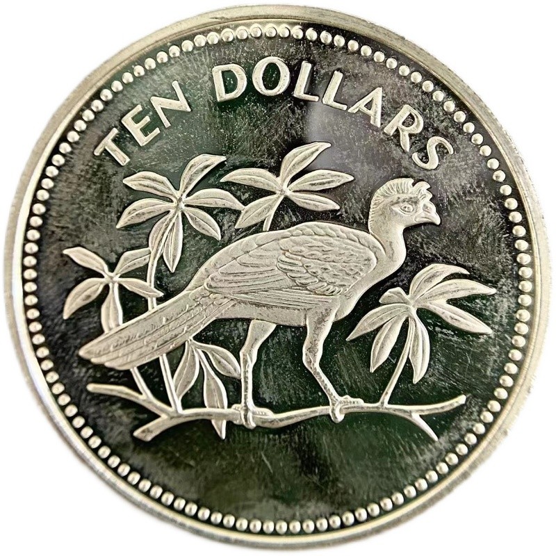 1974年発行のベリーズ5セント銀貨、NGC社鑑定済みPF67 ULTRA 1974年発行のベリーズ5セント銀貨、NGC社鑑定済みPF67 ULTRA 古銭 貨幣