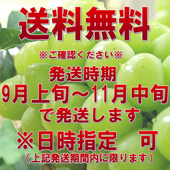 贅沢 ぶどう シャインマスカット 岡山県産 特撰2房 化粧箱 種なし 皮ごと 高糖度 あまい おいしい 高級 ジューシー 新鮮 大粒 送料無料 贈答用  家庭用 プレゼント 手土産 お祝い お中元 fucoa.cl