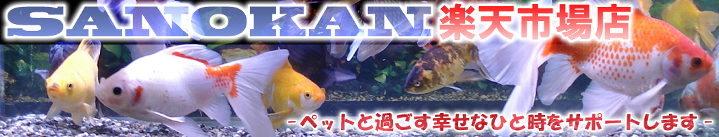 楽天市場 Gex メガパワー6090 9012用 送水用ホース止め 1個 Sanokan楽天市場店 楽天市場 Gex メガパワー6090 9012用 送水用ホース止め 1個 Sanokan楽天市場店