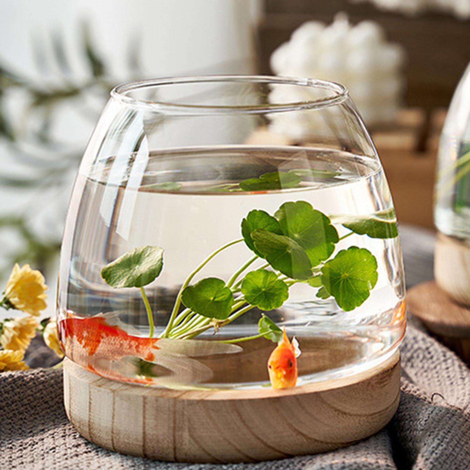金魚鉢 昭和レトロ 猫足 金魚足 花弁縁 Amazon.co.jp: 特大レトロガラス 猫足 金魚鉢プランター鉢H23