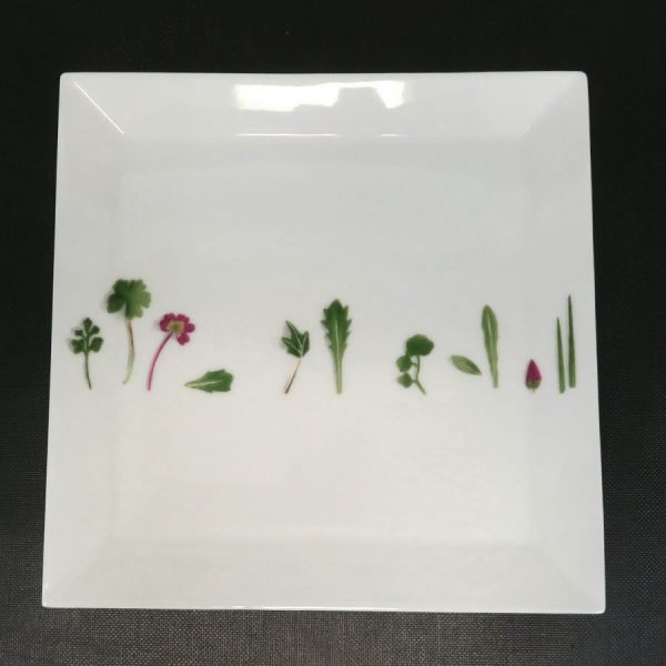 楽天市場】エルメス シエスタアイランド・プレート 【Aランク】【中古