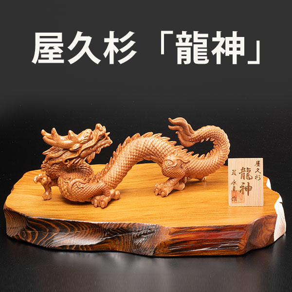 屋久杉 龍神 りゅうじん