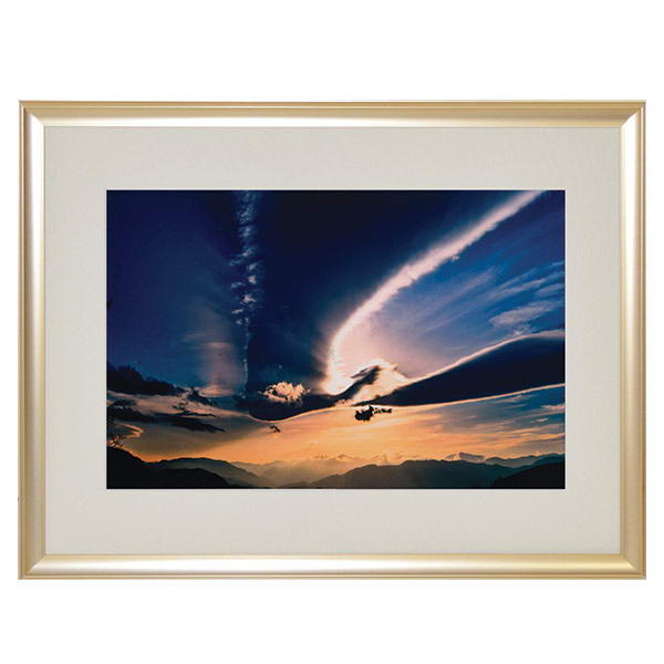 楽天市場】尾長 保「とんぼ」彫金レリーフ額装 日展会員 日工会常務