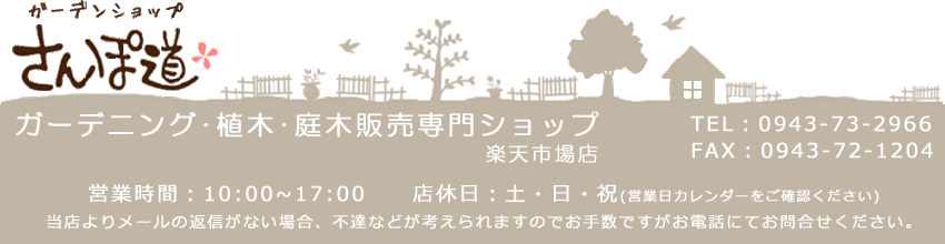 楽天市場 ヒューケラ ライム オレンジ 13 5cmポット ガーデンショップさんぽ道 楽天市場 ヒューケラ ライム オレンジ 13 5cmポット ガーデンショップさんぽ道
