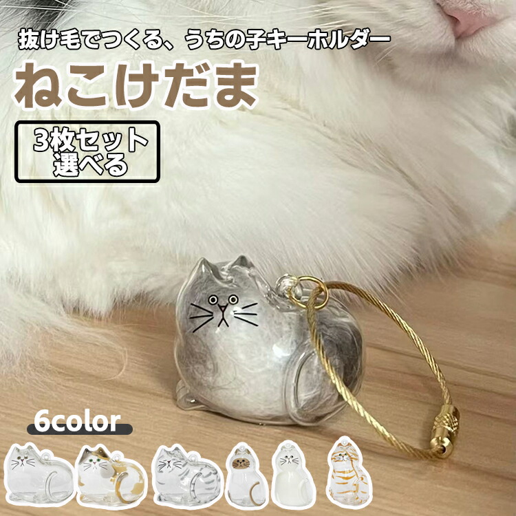 【訳あり】猫の毛だま収納キーホルダー✨ノーマル① 楽天市場】猫毛入れ 猫毛収納キーホルダー 猫の毛 2個 6個 猫毛