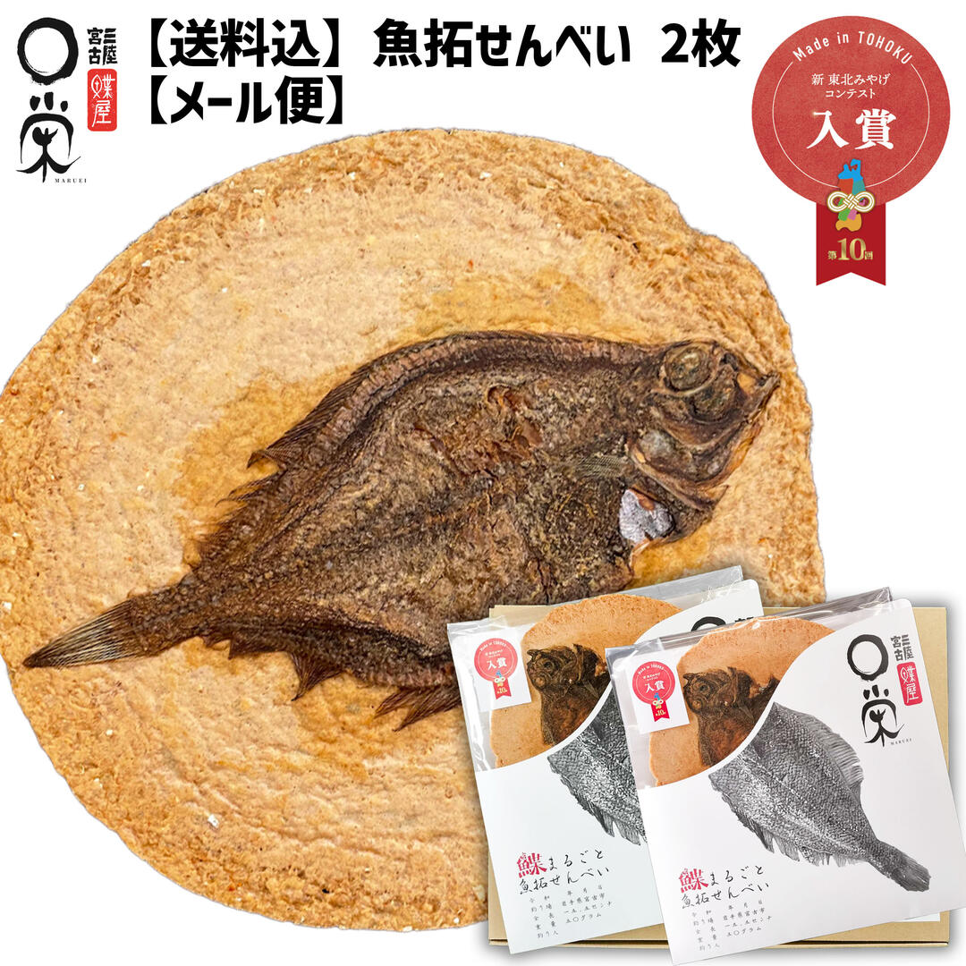 楽天市場】1000円ポッキリ かれいまるごと 魚拓せんべい 直径