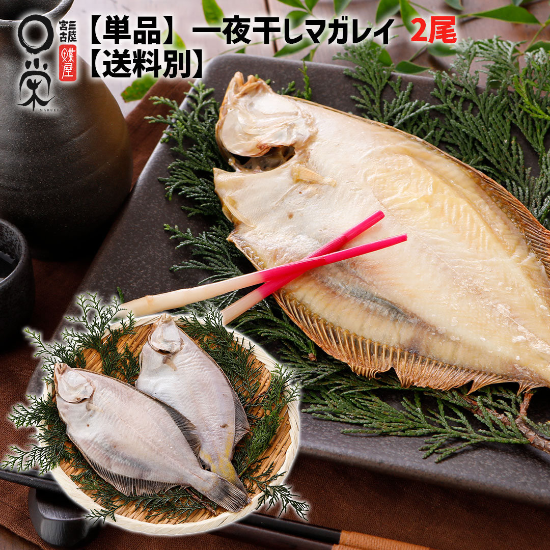 楽天市場】単品 北海道産 一夜干しマガレイ 140g前後 x2尾【送料別】カレイ 魚 懐かしい味 焼き魚 岩手 宮古 加工 メーカー 冷凍 惣菜  父の日干物 ギフト かれいの一夜干し : 宮古マルエイ カレイ干物鰈専門店