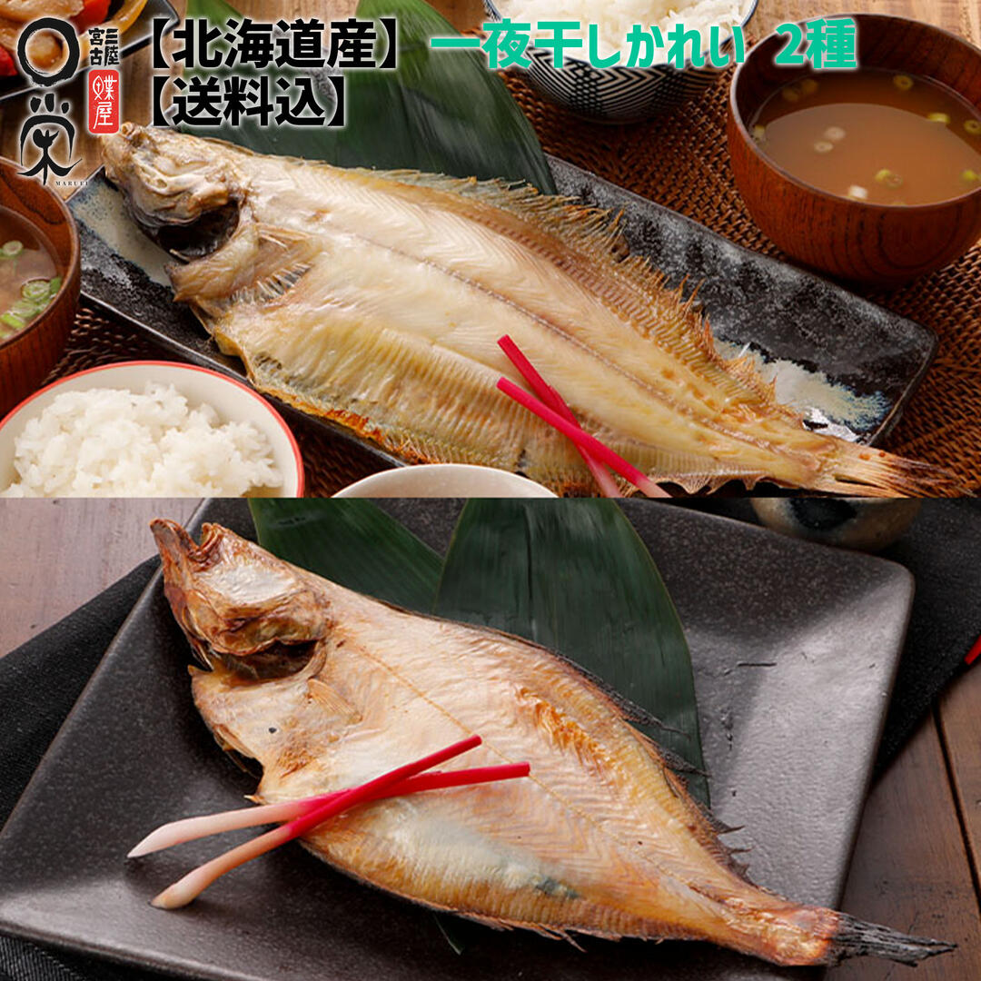 【楽天市場】敬老の日 お試し 一夜干しかれい 2種4枚セット 600g 【送料無料】北海道産 4尾 個包装 カレイ ヒレグロ 宗八 ソウハチ 柳 山かれい 和食 朝食 岩手 宮古 三陸 加工 メーカー 冷凍 惣菜 干物 ギフト かれいの一夜干し 早割:宮古マルエイ カレイ干物鰈専門店