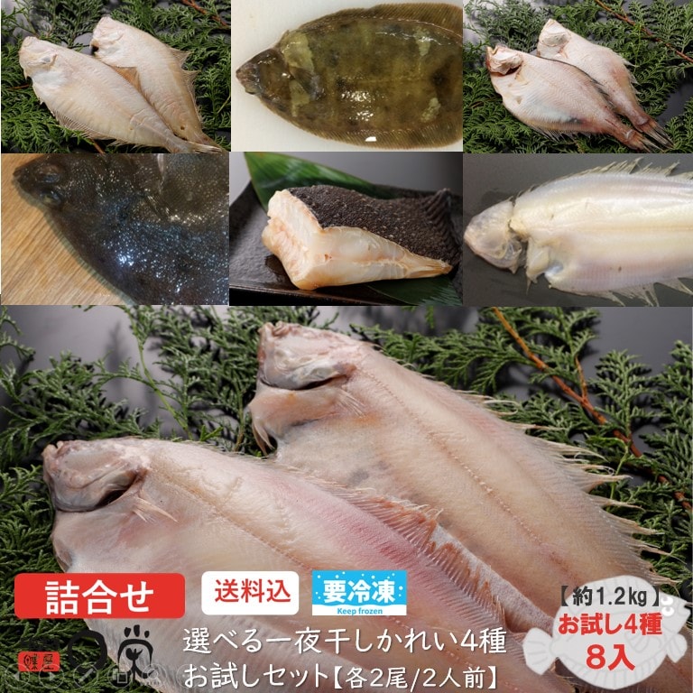 楽天市場 選べる４種一夜干しかれい各３尾 送料無料 合計約1 8kg ヒレグロ ソウハチ 焼き魚ミズカレイ ババカレイ ヒレナガ マガレイ サメガレイ 北海道産 三陸産 アメリカ産等 干物 詰め合わせセット 岩手 宮古 三陸 加工 メーカー 冷凍 食べ比べ 内祝い 御礼 旬