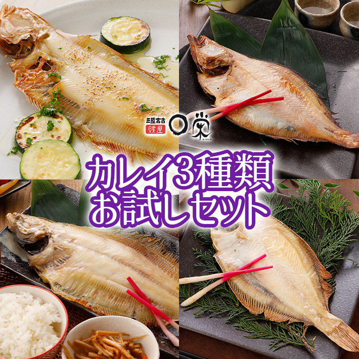 選べる３種 お試しセット 【送料無料】一夜干しかれい 国産 魚種をｾﾚｸﾄ 個包装 ヒレグロ ソウハチ ミズガレイ サメガレイ ババガレイ ミギガレイ マガレイ 干物 ギフト 詰め合わせ 三陸産 北海道産 かれいの一夜干し 母の日 早割
