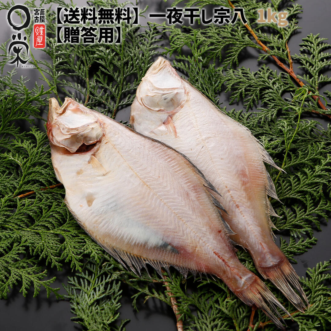 市場 お中元 ヒレナガ 送料無料 干物なのに洋食が美味しい一夜干しかれい ｱﾗｽｶ湾 一夜干しヒレナガの切り身セット100g 6袋