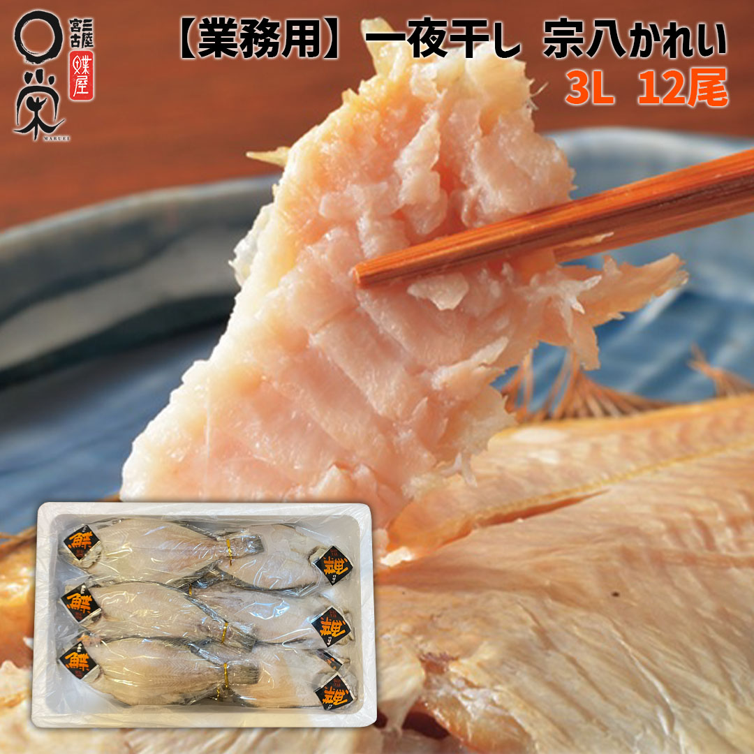 業務用 一夜干しかれい 宗八 3Lサイズ 12尾 北海道産【送料無料】一尾225g 計2.7kg カレイ 干宗八カレイ エテ 鰈 焼き魚 おつまみ 岩手 三陸 宮古 加工 メーカー 代引き可能 冷凍 業務用 内祝い 御礼 惣菜 干物 ギフト かれい 一夜干し