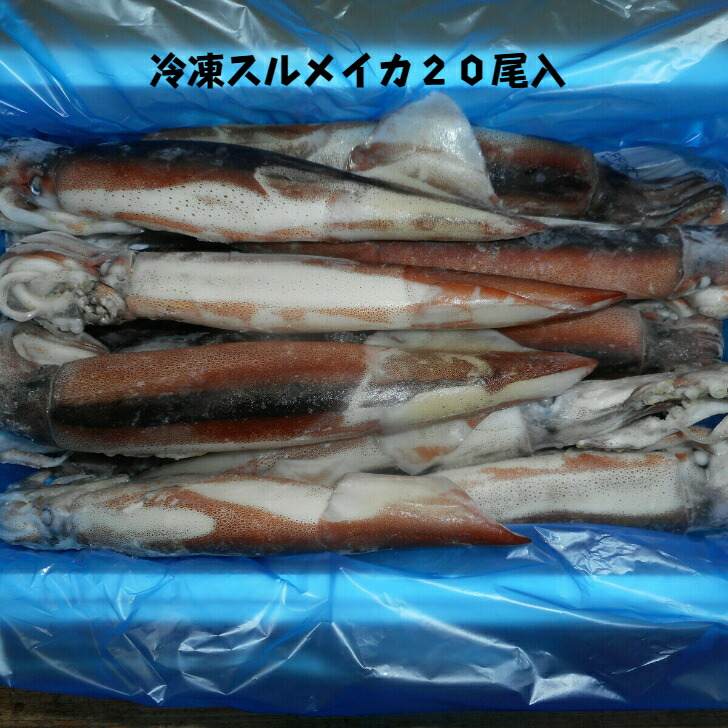 岩手県宮古港に水揚げされた大サンマ １尾約125ｇ 80尾 を急速冷凍 三陸産 冷凍大サンマ10k 業務用です 【予約販売品】 を急速冷凍