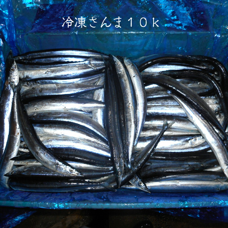 冷凍サンマ10k/三陸産/業務用